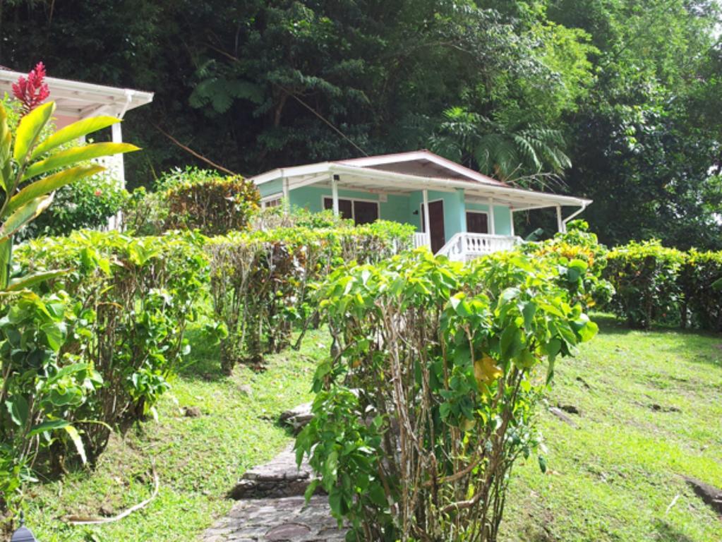 Chez Ophelia Cottage Apartments Roseau Zimmer foto